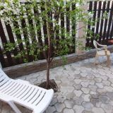 WhatsApp Image 2022-01-17 at 18.53.41.jpeg